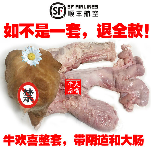 整套4斤新鲜牛欢喜主播挑战美食