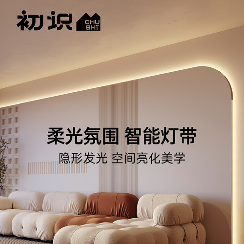 初识照明智能低压灯带