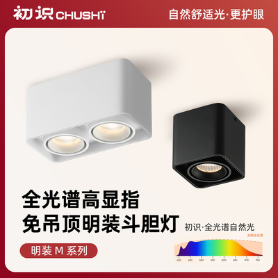 初识照明 斗胆灯卧室明装射灯客厅过道走廊全光谱吸顶双头无主灯