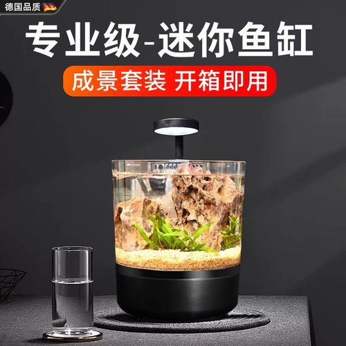 德国精工客厅小型生态鱼缸