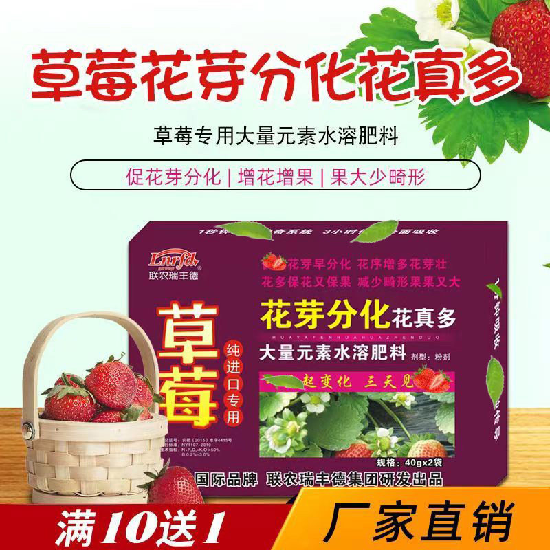 草莓花芽分化素药促进剂促花促果 预防草莓畸形