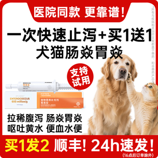 狗狗拉稀止泻猫咪拉肚子药肠胃炎症宠物便血软便腹泻碱式 碳酸铋片