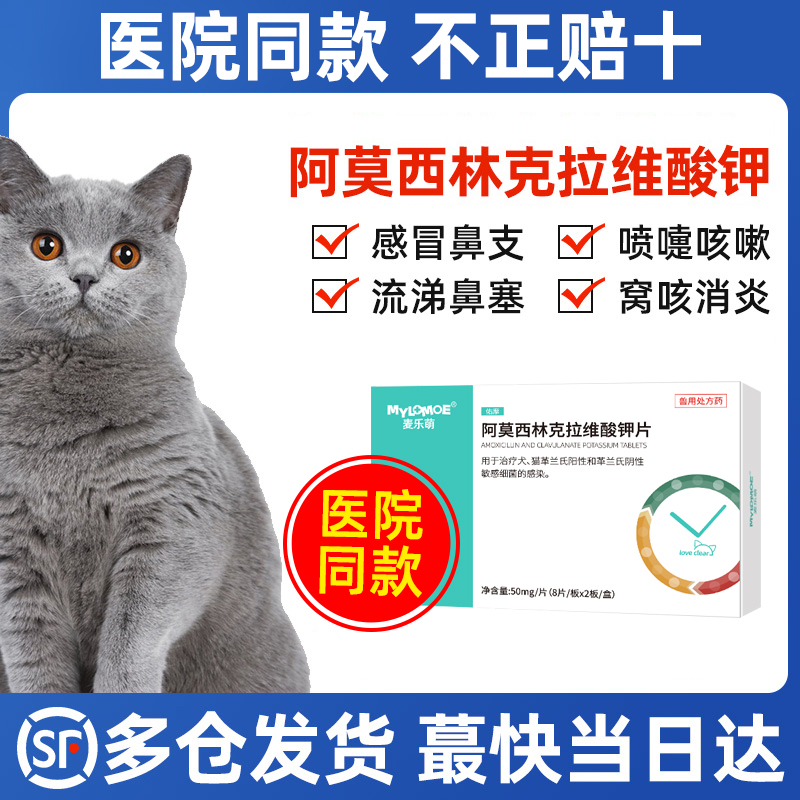 阿莫西林克拉维酸钾宠物猫咪消炎