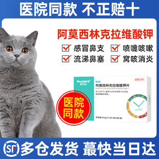 阿莫西林克拉维酸钾宠物片猫咪感冒鼻涕消炎狗鼻支治疗药多西环素
