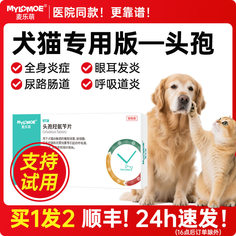 宠物头孢羟氨苄片消炎药