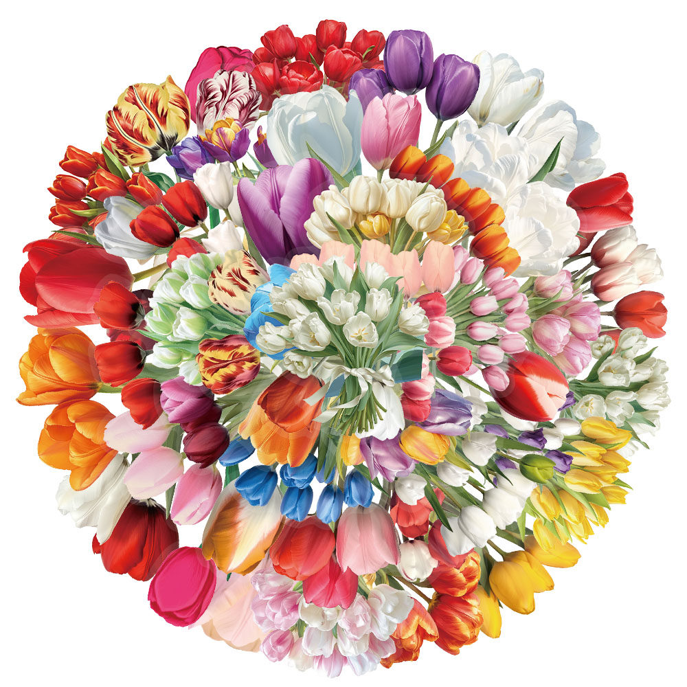 50张/套创意郁金香ins风PET透明材质贴纸笔记本个性装饰贴纸,文具电教/文化用品/商务用品,贴纸/立体贴纸,淘宝优惠券,粉丝福利购,淘宝优惠卷