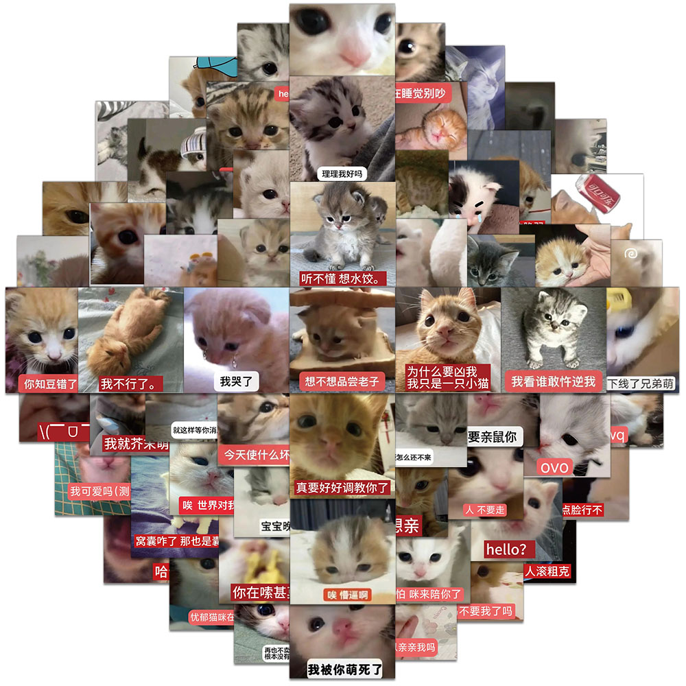 62张/套创意可爱小猫趣味搞怪贴纸手机壳笔记本水杯个性装饰贴纸