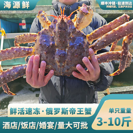 俄罗斯进口帝王蟹新鲜冷冻10斤整只特大螃蟹新鲜生冻顺丰海鲜礼盒