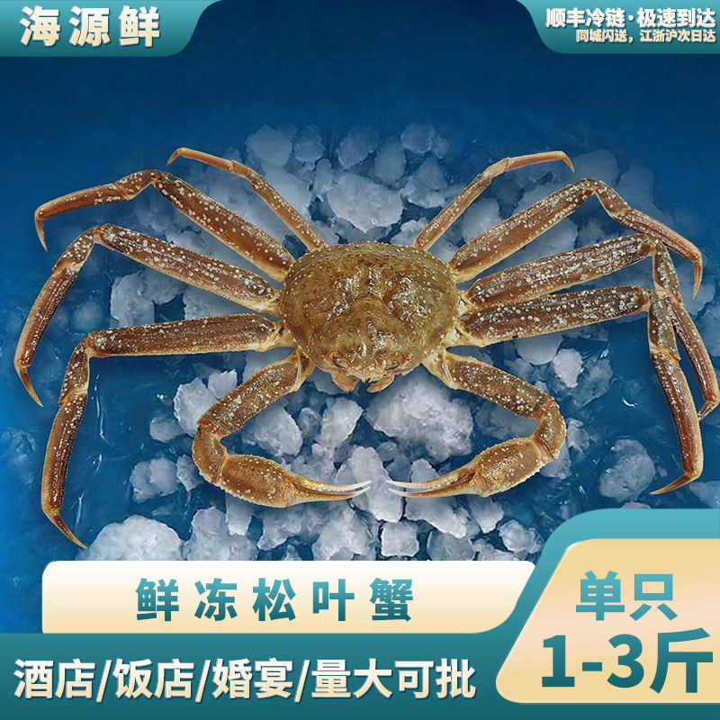 俄罗斯进口新鲜生冻松叶蟹冰鲜雪蟹长脚帝王新鲜板蟹冷冻精品板蟹