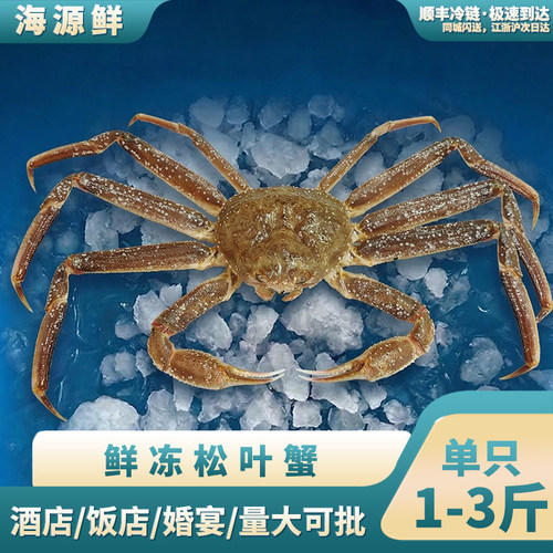 俄罗斯进口新鲜活冻松叶蟹冰鲜雪蟹长脚帝王新鲜板蟹冷冻精品板蟹
