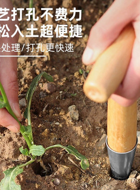 种菜专用工具神器农业施肥打孔器泥土打洞移苗器家用园艺播种移栽