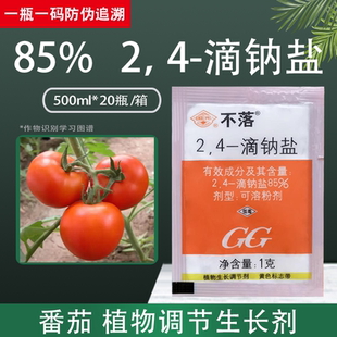 国光不落24一d滴钠盐西红柿2番茄4防落素保鲜剂植物生长调节剂