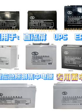 直流屏EPS应急照明集中电源专用蓄电池 CP20-12 CP40-12 CP100-12