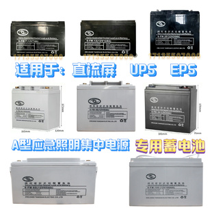 CP40 CP100 CP20 直流屏EPS应急照明集中电源专用蓄电池