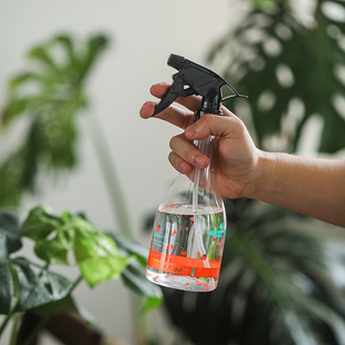 浇水壶 创意浇花壶高颜值草莓喷壶多肉家用绿植园艺浇花工具手压式