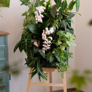 小红书同款diy花架植物画架花盆花槽改造装饰阳台造景室内植物墙