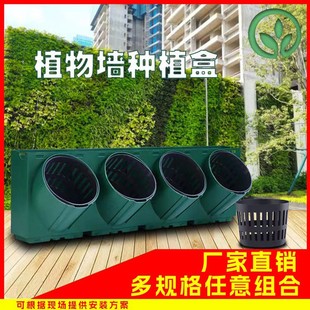 植物墙种植盒垂直立体绿化花盆种植槽户外工程围挡真植物绿植墙