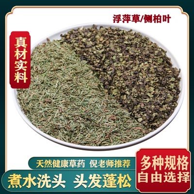 浮萍侧柏叶浮萍中药材