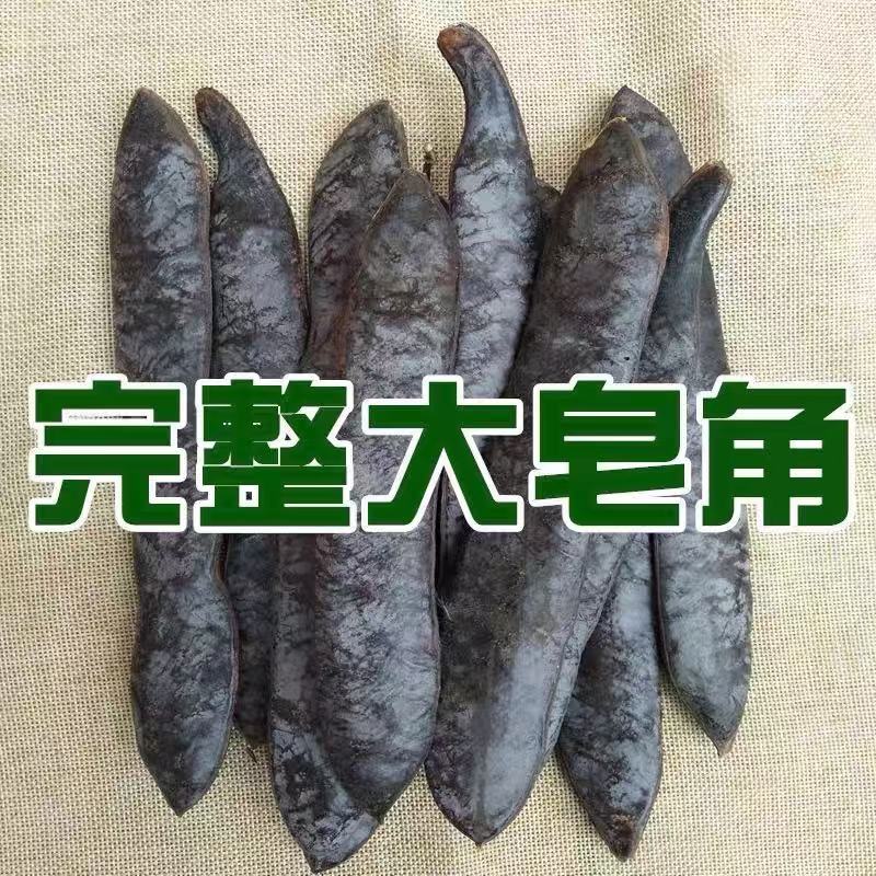 新货大皂角 整长皂角 皂荚碎块段天然中药材 外用洗发 皂角粉免煮
