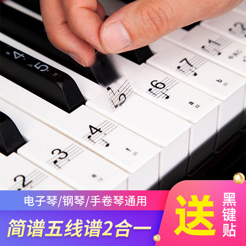 钢琴通用贴纸88键透明61电子琴按键盘音标贴音符不粘五线简谱配件