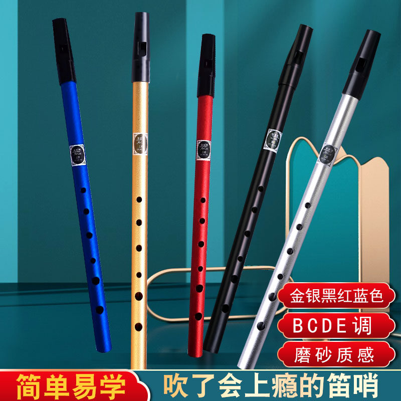 爱尔兰哨笛初学者入门金属哨笛6孔c/d调高音金属专业直竖笛子乐器