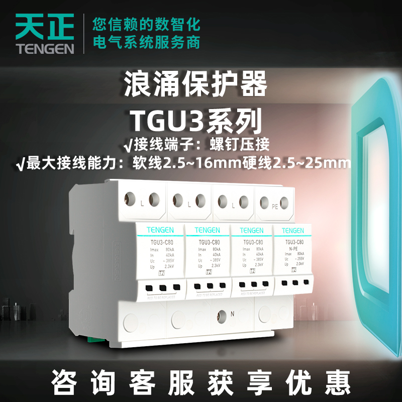 天正电气浪涌保护器防浪涌雷击电涌保护器TGU3系列（定制款）