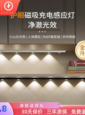 雷士照明人体感应灯带自粘无线橱柜灯酒柜鞋柜小山丘充电led灯条