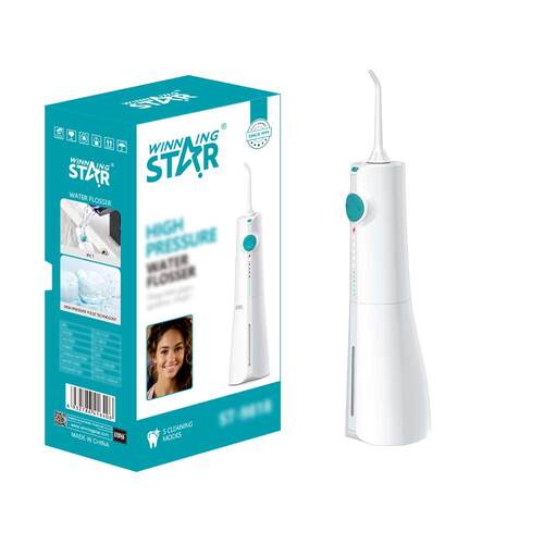 WINNINGSTAR跨境TYPE-C家用防水五种清洁模式冲牙器Water Flosser