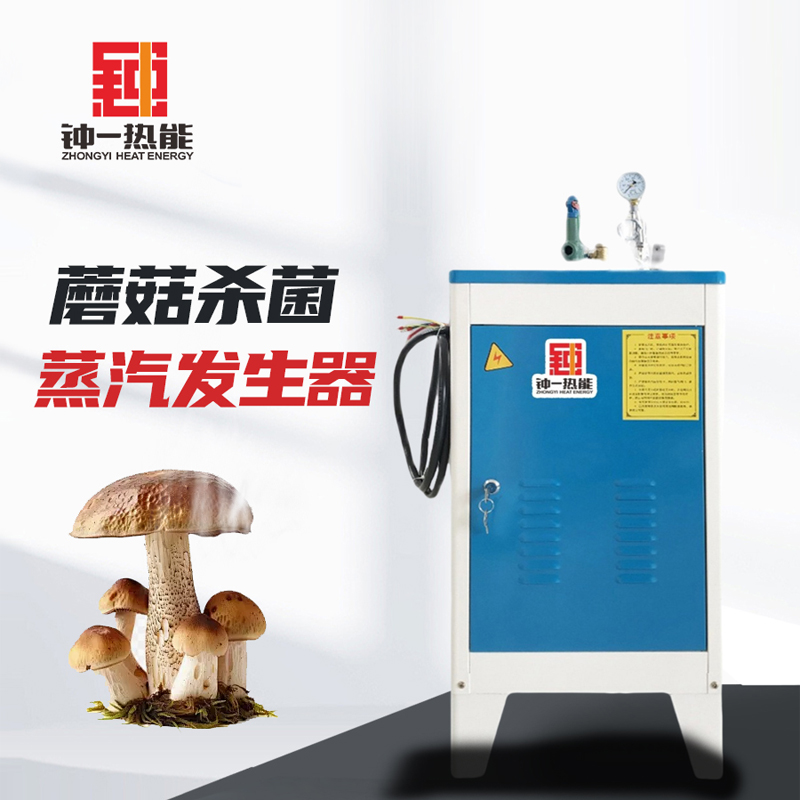 36kw蒸汽发生器+800加仑净水机