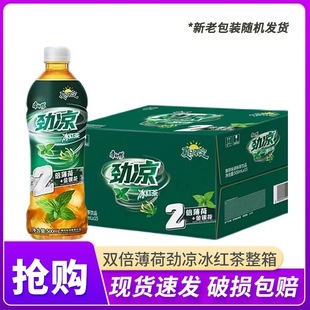 王一博同款康师傅双倍薄荷劲凉冰红茶500ml*15瓶饮料批发解渴饮品