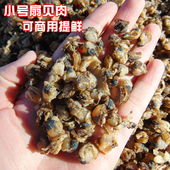 新货干扇贝肉小号扇贝干全贝水产干货食材煲粥汤辣炒商用 包邮