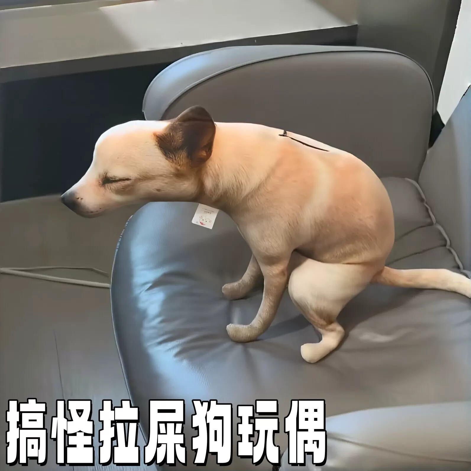 拉屎狗毛绒萌趣抱枕家居玩偶摆件