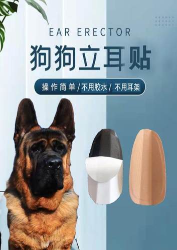 新款不用胶水品种齐全正版