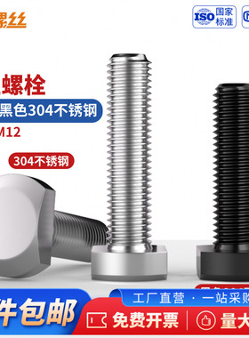 JS 304不锈钢T型螺栓螺丝冲床槽用黑色T形压板螺丝M5M6M8M10M12