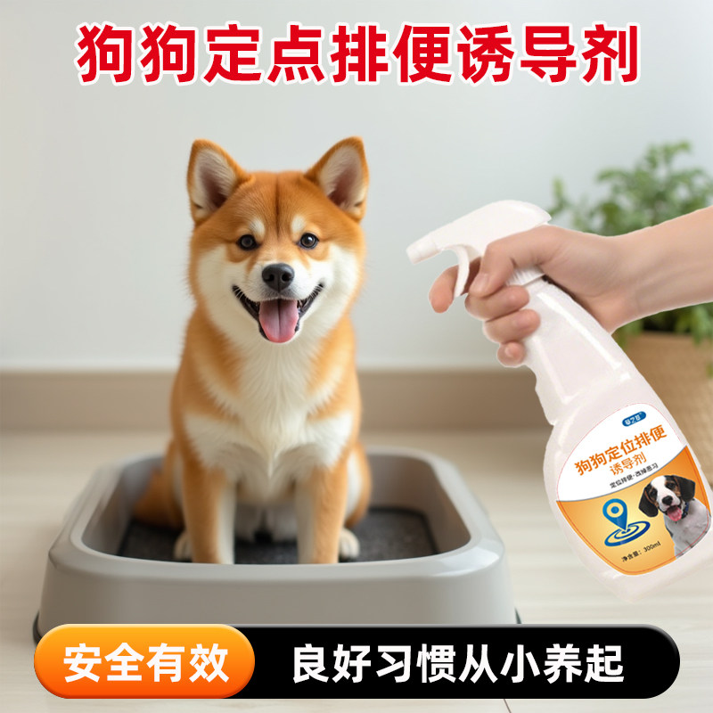 狗狗定点排便诱导剂防小狗乱拉乱尿神器培养幼犬定点大小便训练剂