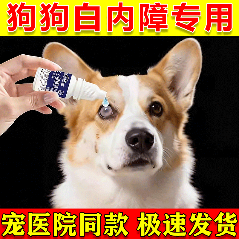 狗狗白内障滴眼液千寿中老年犬专用白内障滴眼液白内障滴眼液