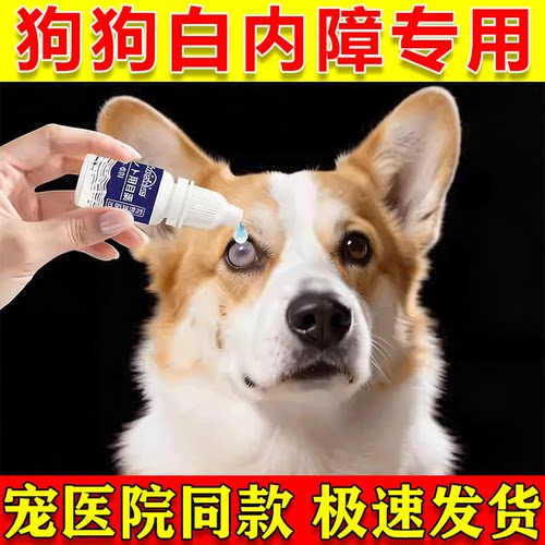 狗狗白内障滴眼液中老年犬专用