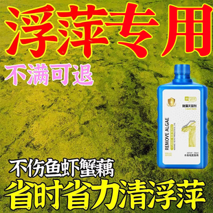 浮萍一扫水产养殖不伤鱼虾蟹鱼塘除藻去苔剂光浮萍清除剂灭浮萍