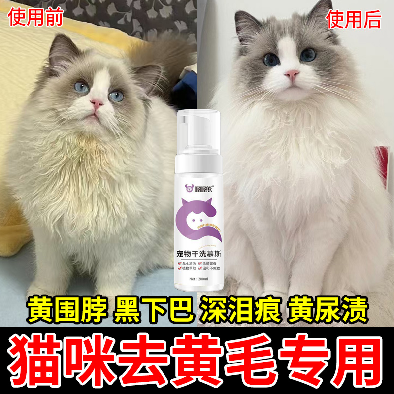 宠物免洗泡沫手套猫咪狗狗通用