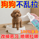 狗狗定位排便诱导剂宠物猫咪大小便防止乱拉乱尿定位排便训练剂