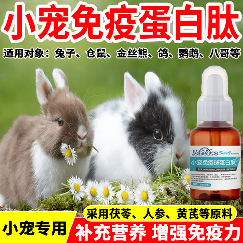 小宠物提高免疫力少生病