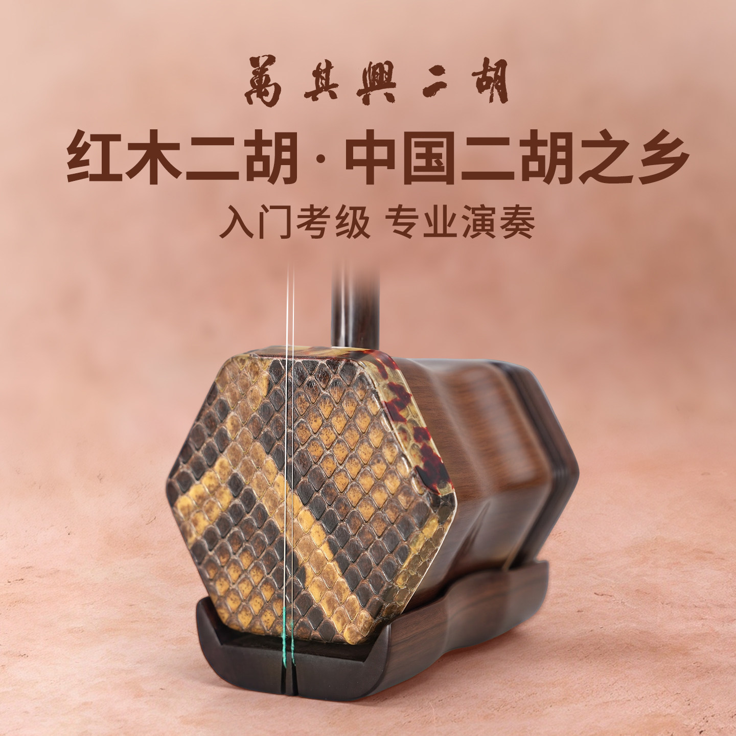 万其兴二胡乐器初学者入门老年人小学生儿童考级红木十大名牌二胡
