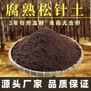 纯松针腐殖土天然腐叶腐熟君子兰花多肉泥炭营养土养花通用专用土