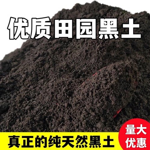 东北优质田园土泥土黑土现挖现发