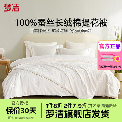 梦洁家纺100蚕丝被子被芯秋冬子母二合一春秋被四季通用清森