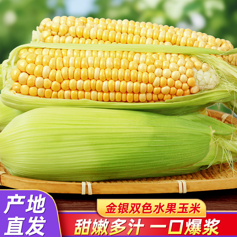 甜嫩脆金银水果玉米新鲜