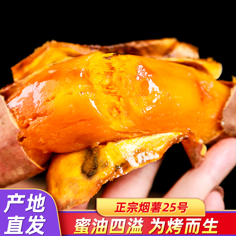 沙地新鲜山东烟台烟薯25号蜜薯
