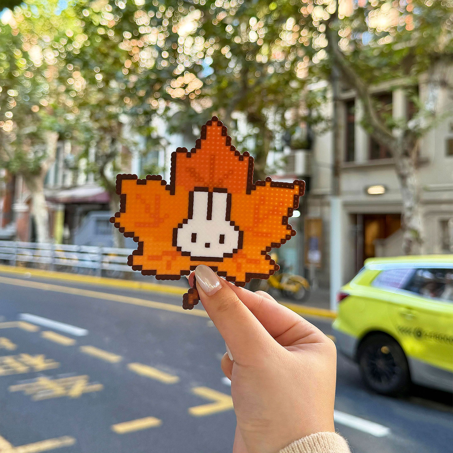 适合秋天拼的豆出现了！