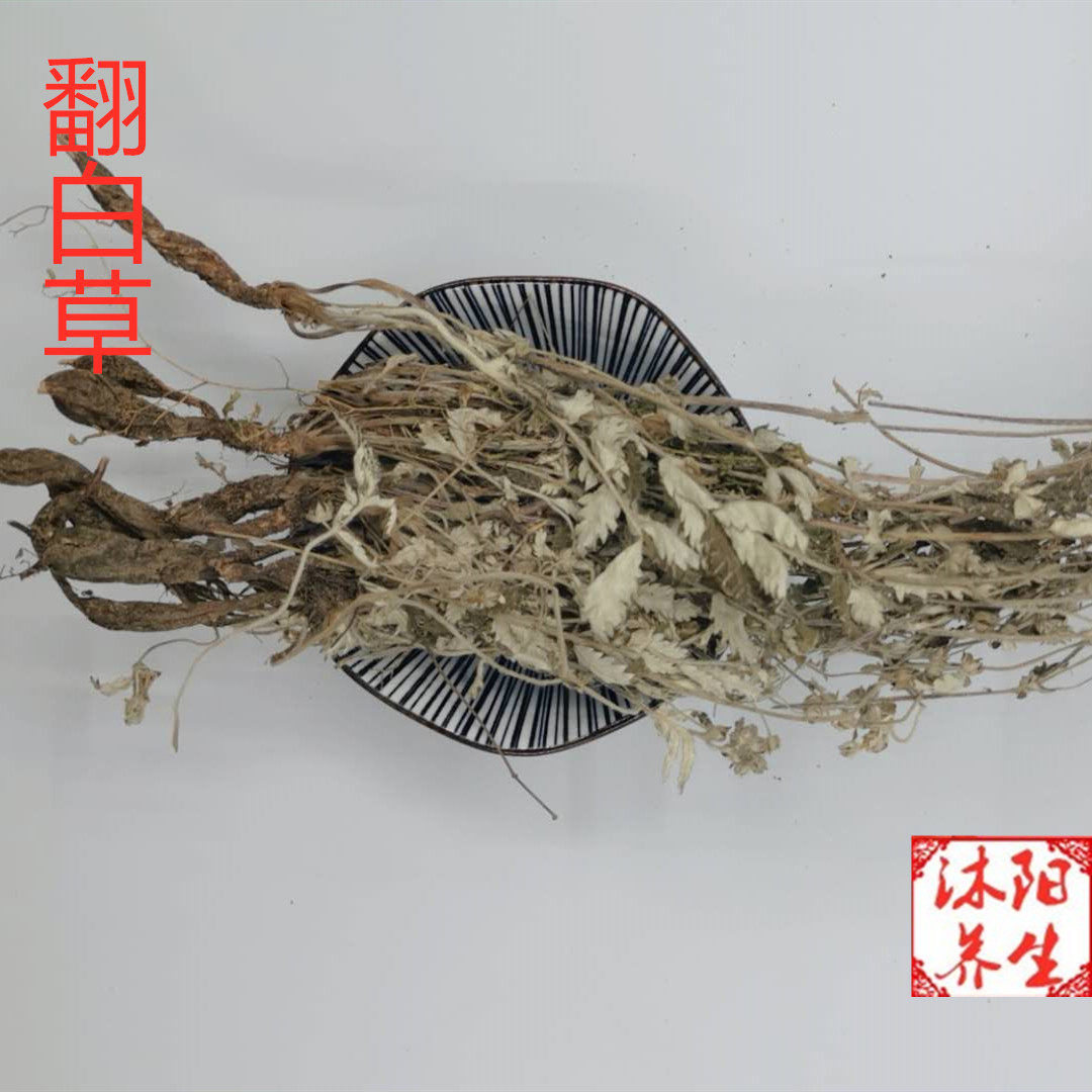 干翻白草新鲜野生整颗带根可搭配