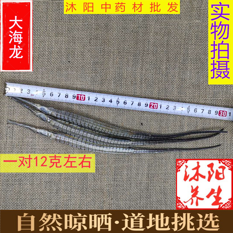 泡酒中药材六角大海龙干货公母一对12g煲汤料滋补男性保健非养殖